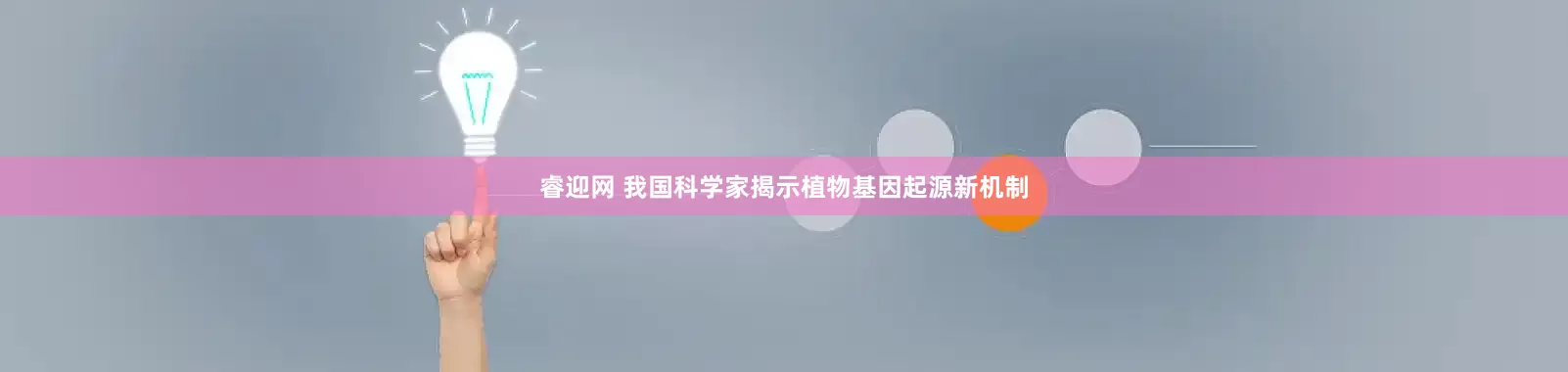 睿迎网 我国科学家揭示植物基因起源新机制