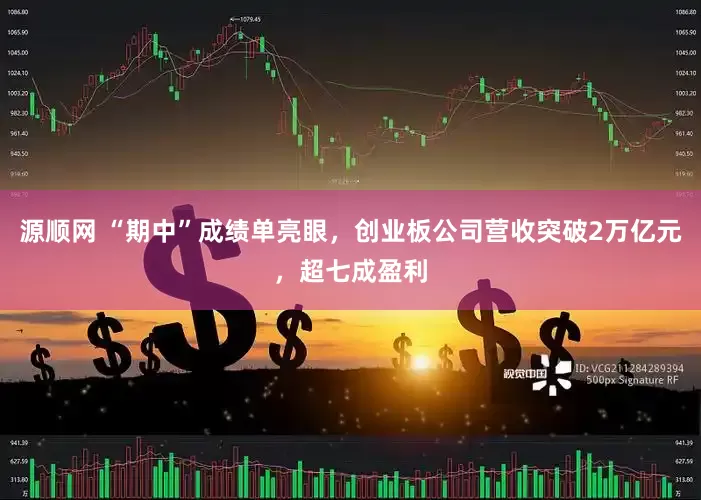 源顺网 “期中”成绩单亮眼，创业板公司营收突破2万亿元，超七成盈利