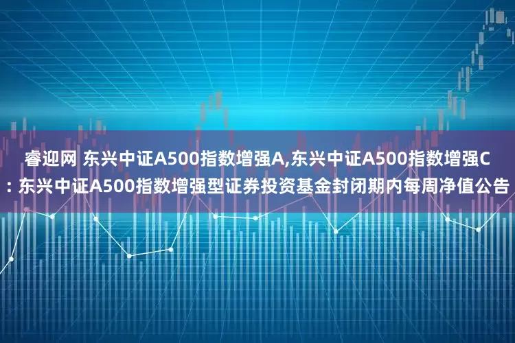 睿迎网 东兴中证A500指数增强A,东兴中证A500指数增强C: 东兴中证A500指数增强型证券投资基金封闭期内每周净值公告