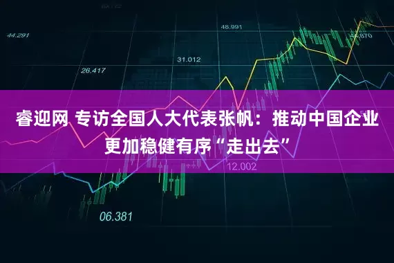 睿迎网 专访全国人大代表张帆：推动中国企业更加稳健有序“走出去”